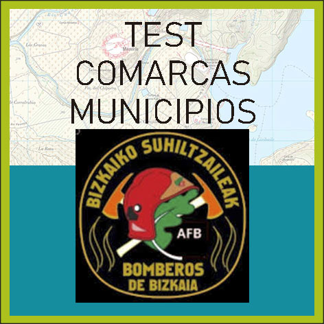 Test Comarcas Municipios Bizkaia