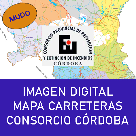 imagen curso