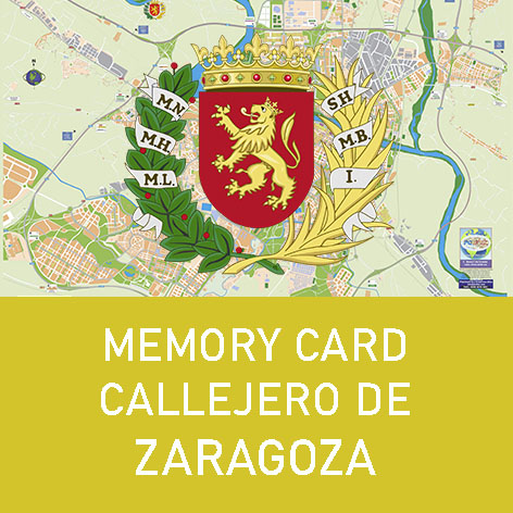 Memory Card Callejero de Zaragoza