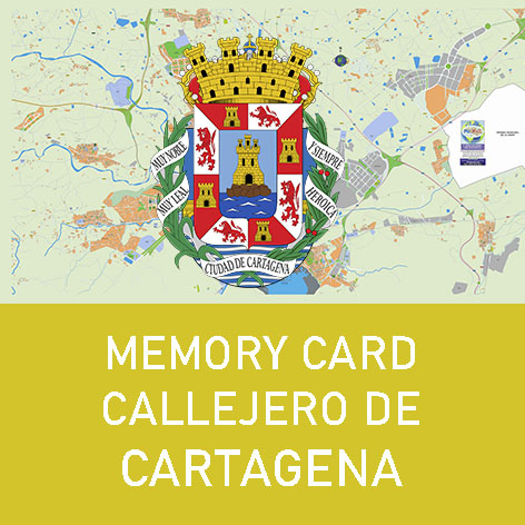 Memory Card Callejero de Cartagena