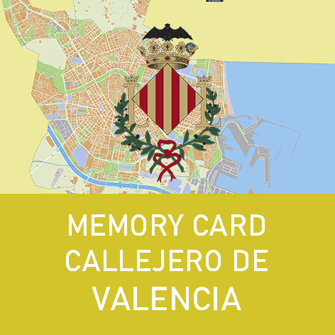 Memory Card Callejero de Valencia