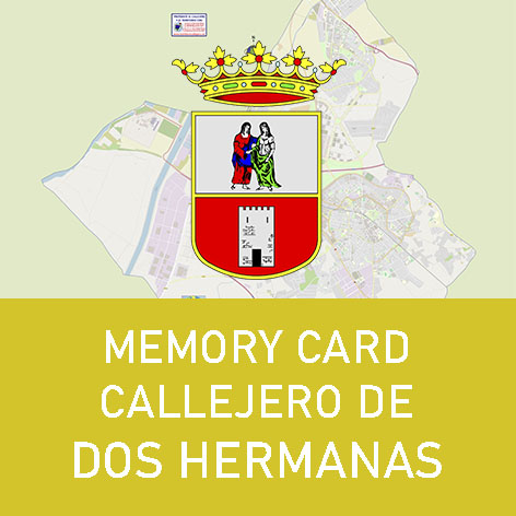 Memory Card Callejero de Dos Hermanas
