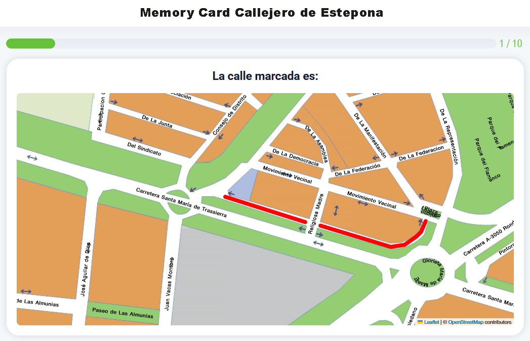 Memory Card Callejero de Estepona