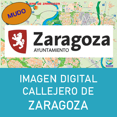 Imagen Digital Callejero de Zaragoza (Malla Mudo)