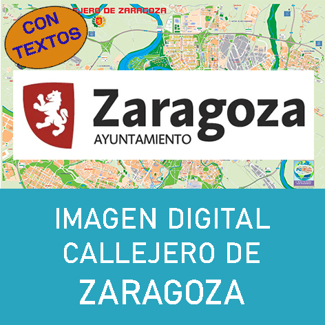 Imagen Digital Callejero Zaragoza (Malla)