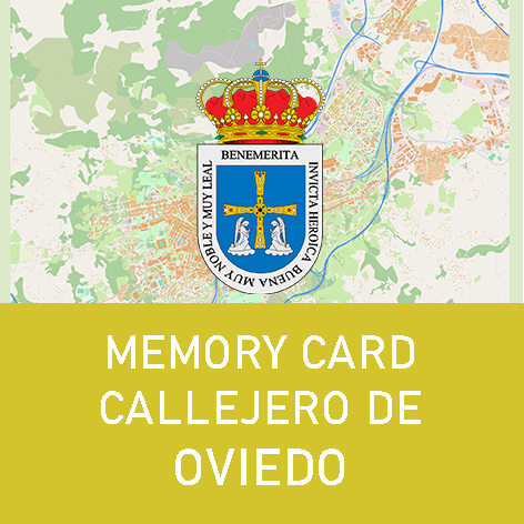 Memory Card Callejero Oviedo