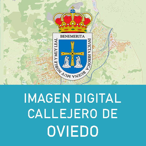 Imagen Digital Callejero Oviedo