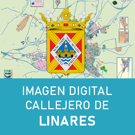 Imagen Digital callejero Linares
