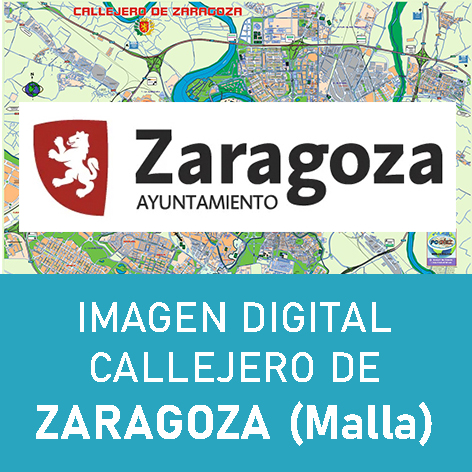 Imagen Digital Callejero Zaragoza (Malla)